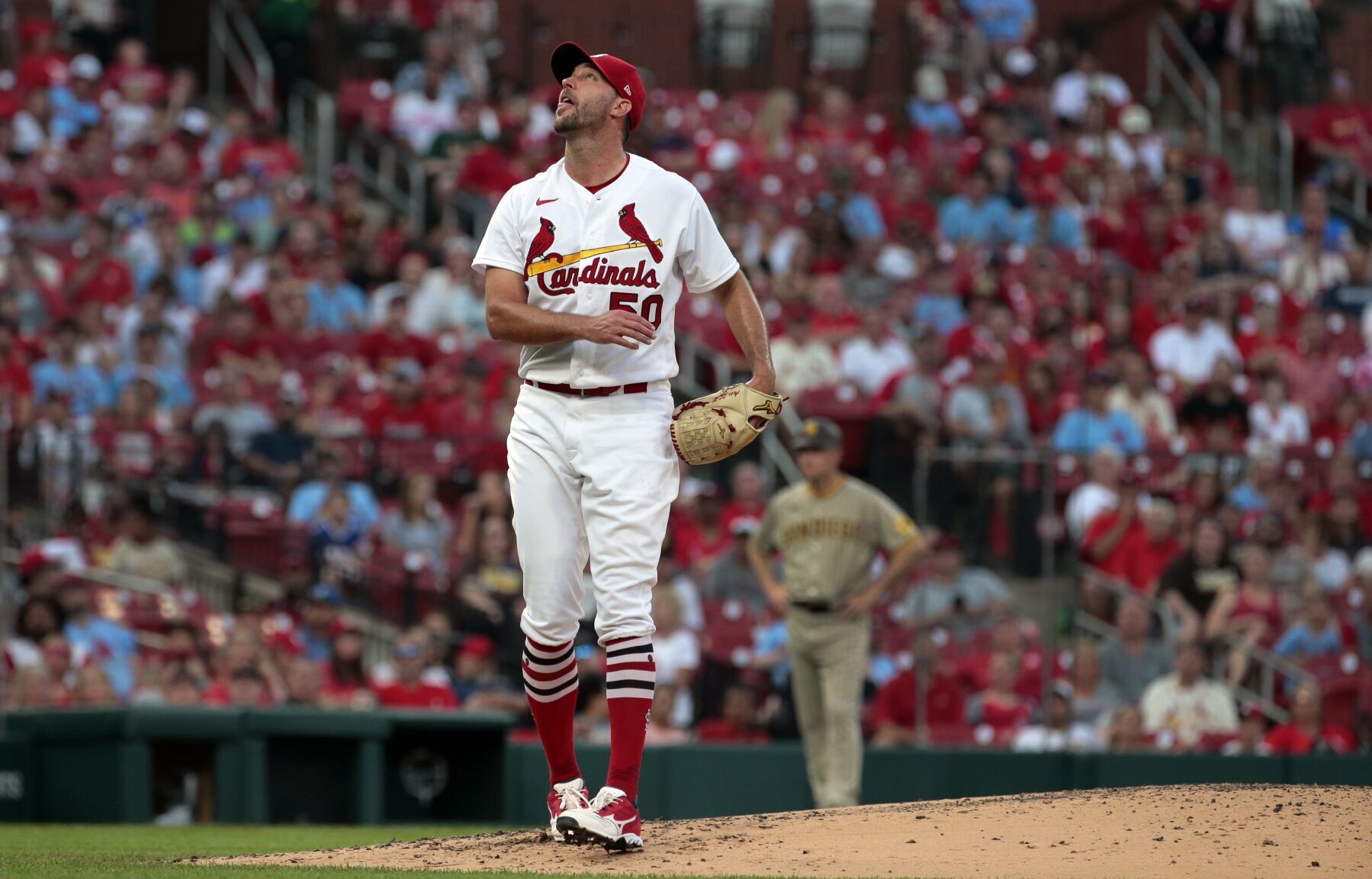 Cardinals, Padres at Busch